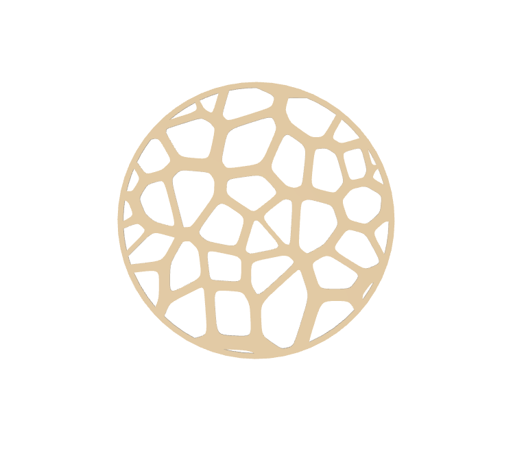 Tuile Voronoï Food Design